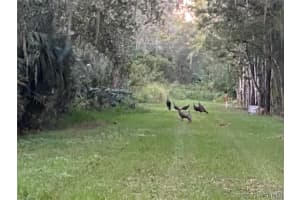 183 Ulster Lane, Melbourne, FL 32935 - MLS#1067613