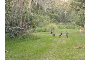 183 Ulster Lane, Melbourne, FL 32935 - MLS#1067613