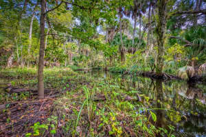 8111 Tethys Court, Melbourne, FL 32940 - MLS#1070660