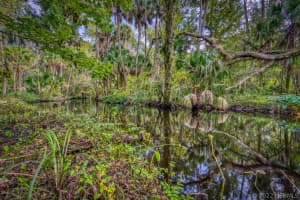 2577 Bathery Drive, Palm Bay, FL 32907 - MLS#1070661