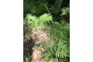 145 Seawind Drive, Satellite Beach, FL 32937 - MLS#1070815