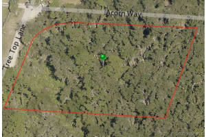 6109 Gallop Court, Titusville, Fl 32780, Titusville