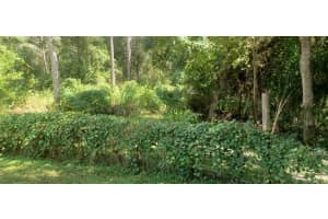 703 Amaryllis Drive, Barefoot Bay, FL 32976 - MLS#1070987