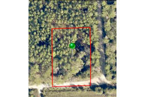 966 Trinity Street, Rockledge, Fl 32955, Rockledge