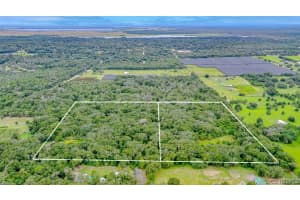 194 Rosewood Drive, Cocoa, Fl 32926, Cocoa