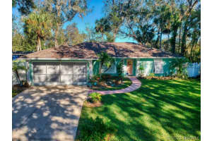 3009 Unity Tree Drive, Edgewater, Florida 32141