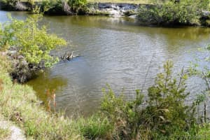 1623 Middlebury Drive, Palm Bay, FL 32909 - MLS#1071865