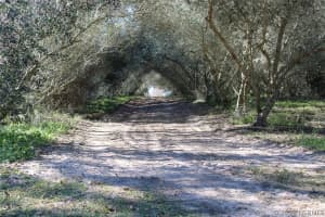 5105 Madras Drive, Palm Bay, FL 32907 - MLS#1072139