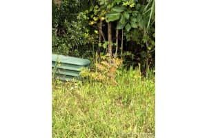 2207 Rio Grande Canyon Loop, Poinciana, FL 34759 - MLS#1072332