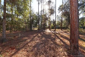 1263 Lovers Court, Tallahassee, FL 32317 - MLS#1073492