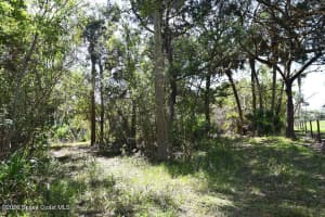 455 Hall Road, Merritt Island, FL 32953 - MLS#1073557