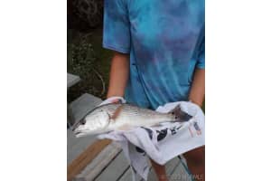 200 Saint Lucie Lane, Cocoa Beach, FL 32931 - MLS#1073601