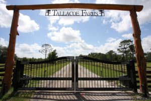 720 Bayfront Terrace, Sebastian, FL 32958 - MLS#1073890