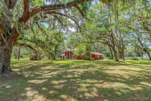 423 Phillips Creek Lane, New Smyrna Beach, FL 32168 - MLS#1074537