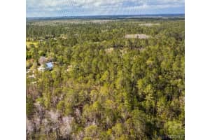 24618 Stillridge Court, Leesburg, FL 34748 - MLS#1075131