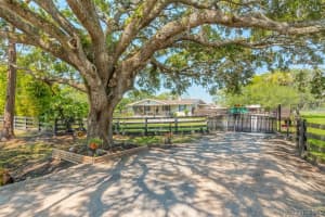 1420 Avocado Avenue, Melbourne, FL 32935 - MLS#1075173