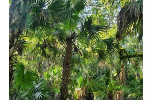 704 Carriage Hill Road, Melbourne, FL 32940 - MLS#1075441