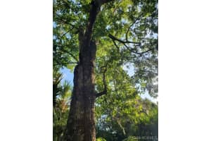 941 Century Avenue, Palm Bay, FL 32909 - MLS#1075518