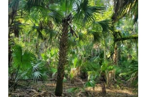 941 Century Avenue, Palm Bay, FL 32909 - MLS#1075518