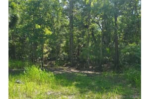 941 Century Avenue, Palm Bay, FL 32909 - MLS#1075518