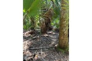 702 Bantry Court, Merritt Island, FL 32953 - MLS#1075549