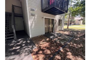 3214 Tree Ridge Lane Ne, Palm Bay, Fl 32905, Palm Bay