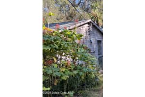 905 Baron Road, Orlando, FL 32828 - MLS#1076117