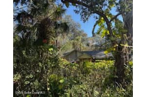 905 Baron Road, Orlando, FL 32828 - MLS#1076117