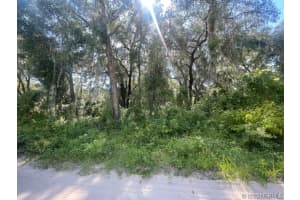 1635 Candle Court, Titusville, FL 32796 - MLS#1076892