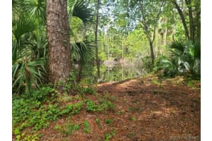 1356 Torgerson Road, Palm Bay, FL 32909 - MLS#1077357