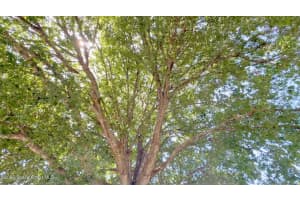 4205 Grovewood Lane, Titusville, FL 32780 - MLS#1078408