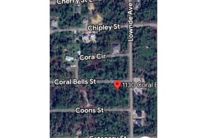 1130 Coral Bells Street, Lehigh Acres, FL 33974 - MLS#2025000522