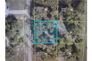 1602 Hibiscus Avenue, Lehigh Acres, FL 33972 - MLS#2025002318