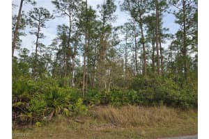 1314 Cleveland Avenue, Lehigh Acres, FL 33972 Sold 10/21/25