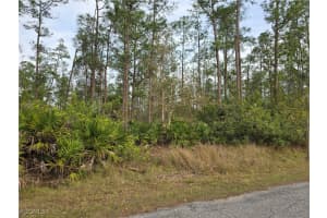 1314 Cleveland Avenue, Lehigh Acres, FL 33972 Sold 10/21/25