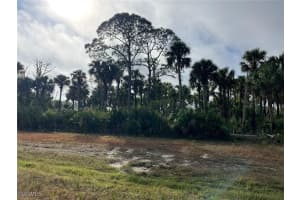  504 Nueva Ave, Labelle, FL 33935 - MLS#2025003294