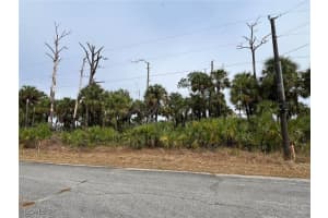  504 Nueva Ave, Labelle, FL 33935 - MLS#2025003294