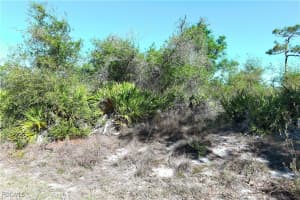 29242 Defiance Avenue, Punta Gorda, FL 33982 - MLS#2025003487