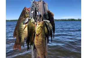 359 Austin Avenue, Lehigh Acres, FL 33974 - MLS#2025003696