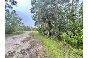 12353 Ripple Drive, Punta Gorda, FL 33955 - MLS#2025004226