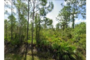 12162 Narango Drive, Punta Gorda, FL 33955 Sold 08/20/25