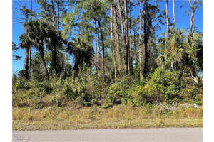 1209 Pine Avenue, Lehigh Acres, FL 33972 Sold 09/26/25