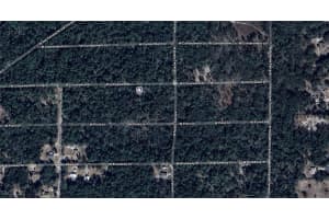 7248 Citruswood Drive, Dunnellon, FL 34433 - MLS#2025005433