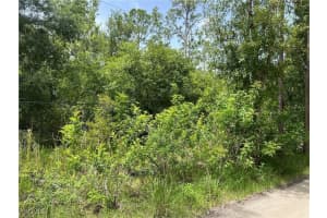 9720 Quail Run, North Fort Myers, FL 33917 Sold 09/16/25