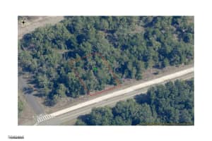 1641 Delmane Drive, Dunnellon, FL 34434 - MLS#2025006239