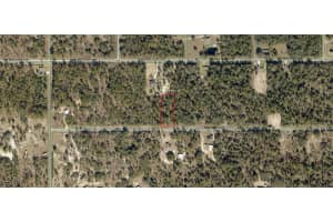 1806-002-033 Papaya Lane, Dunnellon, FL 34431 - MLS#2025006758