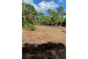 8746 Nome Court, St James City, FL 33956 - MLS#2025006947