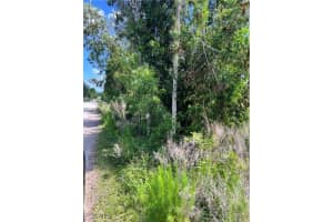 8746 Nome Court, St James City, FL 33956 - MLS#2025006947