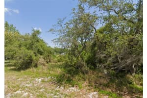 249 Grape Road, Lake Placid, FL 33852 - MLS#2025007049