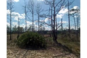 1017 Grant Avenue, Lehigh Acres, FL 33972 - MLS#2025007057